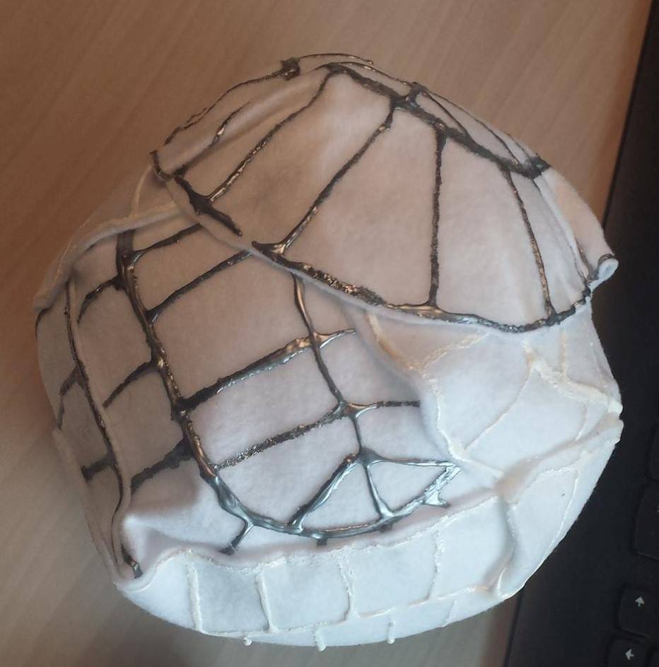 Model coccolithophore